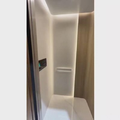 220V AC schroefdrijvende lift met automatische schuifdeur en 400 kg capaciteit