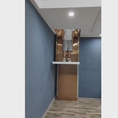 30M Reizen Huishoudelijke Hydraulische Lift 400Kg Compacte Hydraulische Huishoudelijke Lift