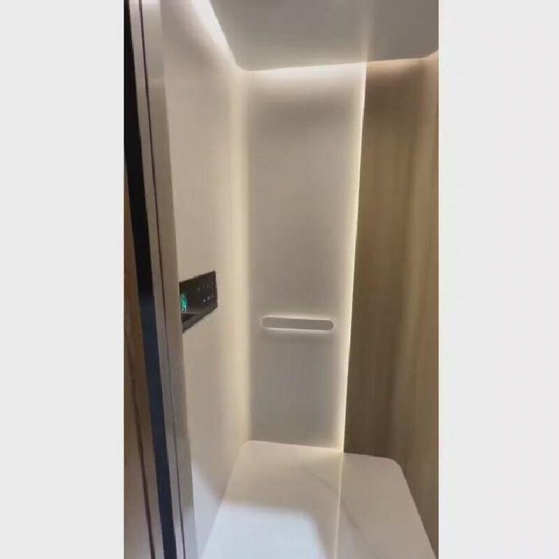 220V AC schroefdrijvende lift met automatische schuifdeur en 400 kg capaciteit