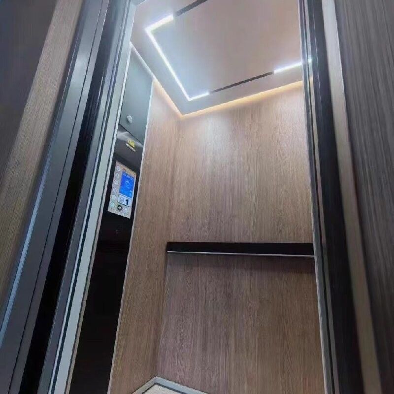 5Stops Hydraulische Lift Voor Home Size Microprocessor Controller In Low Headroom Aluminium Platform Lifts
