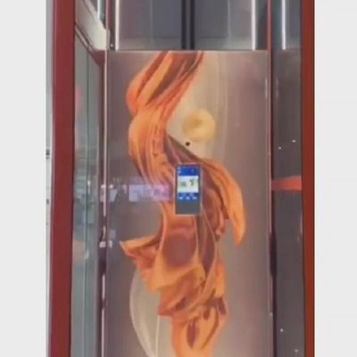 Roestvrij staal kleine woonlift 400 kg kleine liften voor huizen