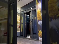 Stil microprocessor besturingssysteem Tractie Home Lift Up 30 M Reishoogte 0,6 M/S Snelheid