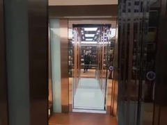 Draadkabel van roestvrij staal huishoudelijke lift vlot draaiend 0,6 M/S